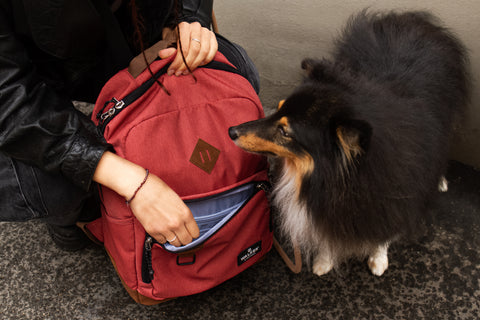 Concept PURE ECO Rucksack